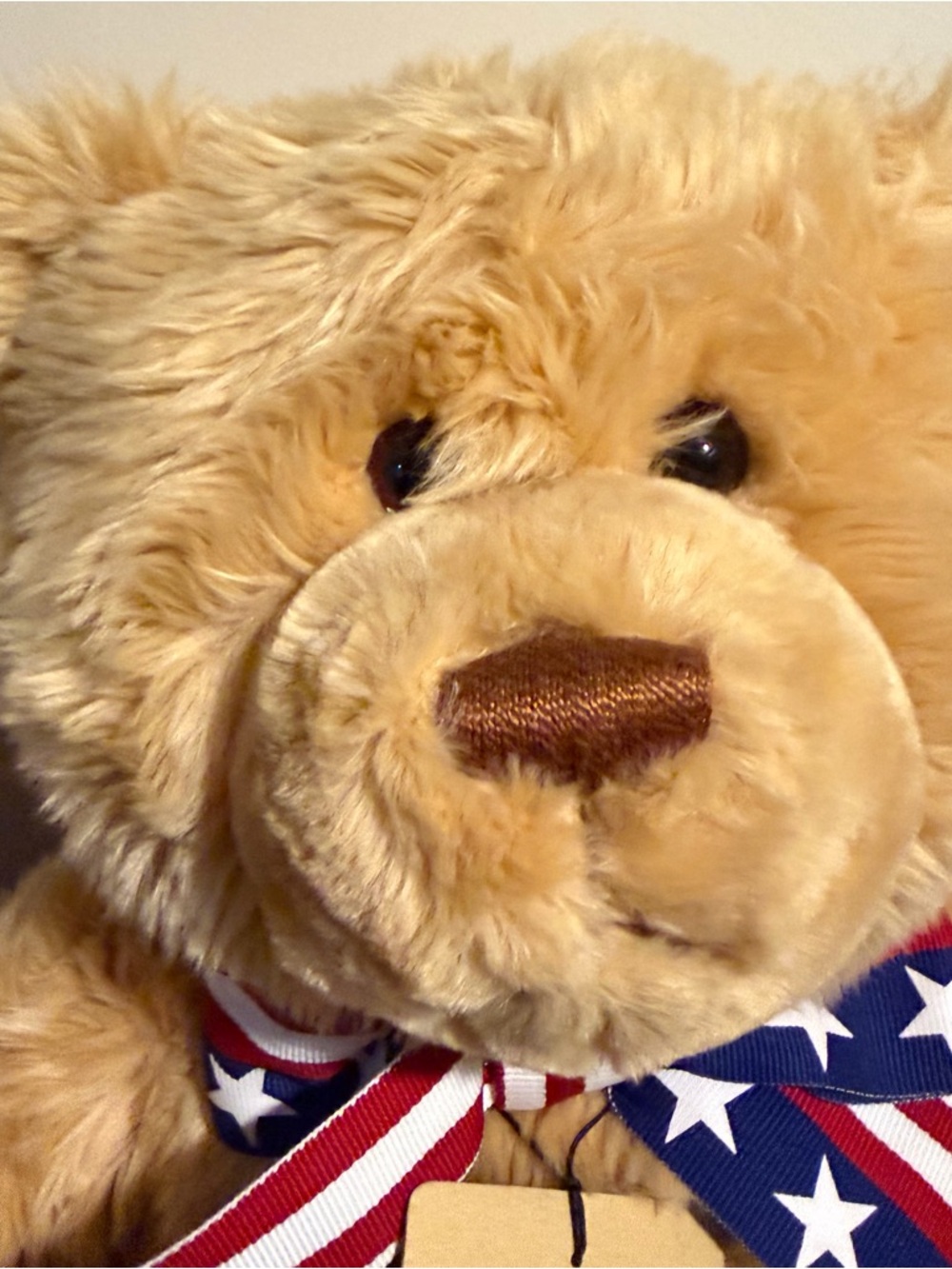 2002 Gund WISH BEAR Plush 100Th Anniversary of The Teddy Bear LARGE 26" - Picture 4 of 14